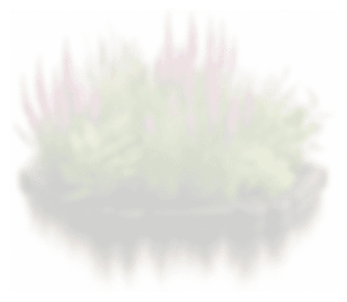 Modular Floating Treatment Wetland